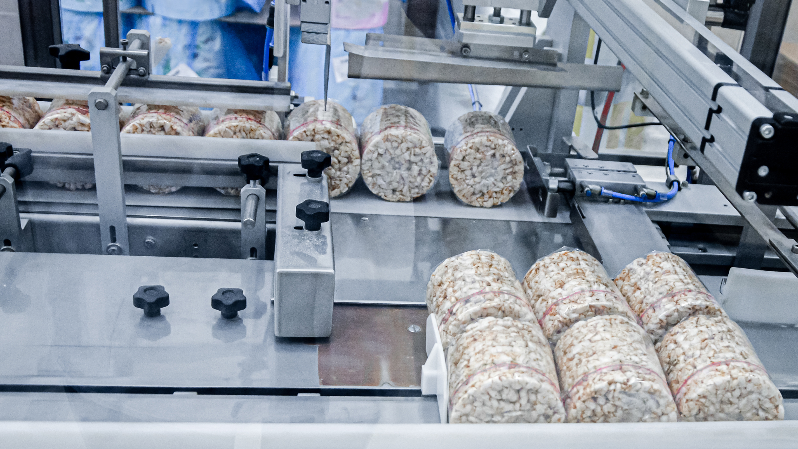 Lebensmittelindustrie